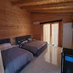 Beni Tale Lezhë