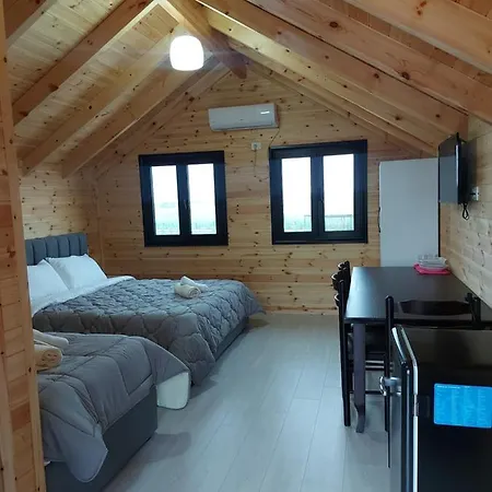 Beni Tale * Lezhë