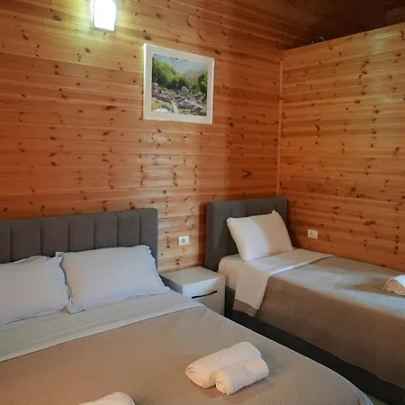 Beni Tale * Lezhë
